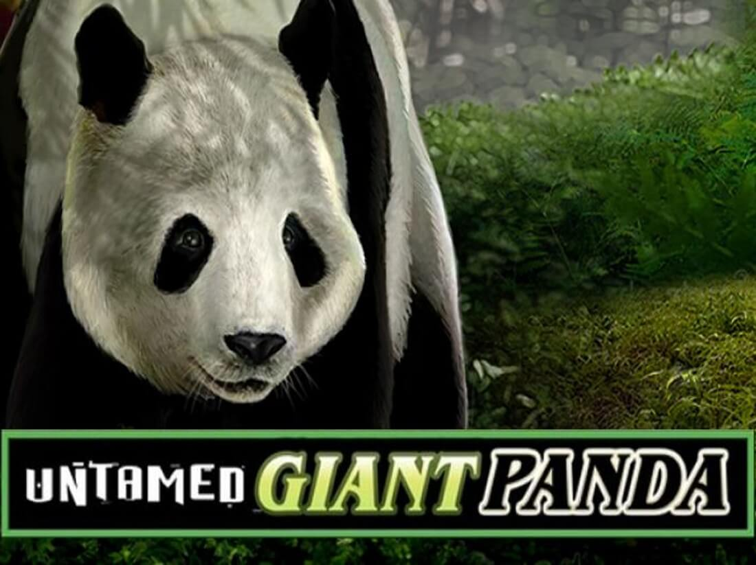 Play Untamed Giant Panda