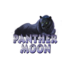 Play Panther Moon now at Casino.com